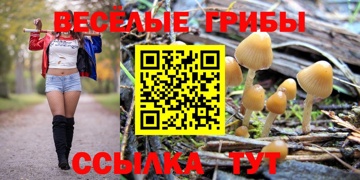 Псилоцибиновые грибы мухоморы  Галлюциногенные грибы MAGIC MUSHROOMS  Вход с VPN  сколько стоит  Долгопрудный 